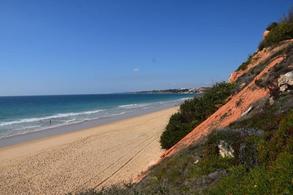 אלבופיירה Buganvilia Apartment Praia Da Falesia מראה חיצוני תמונה