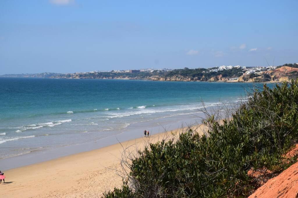 אלבופיירה Buganvilia Apartment Praia Da Falesia מראה חיצוני תמונה